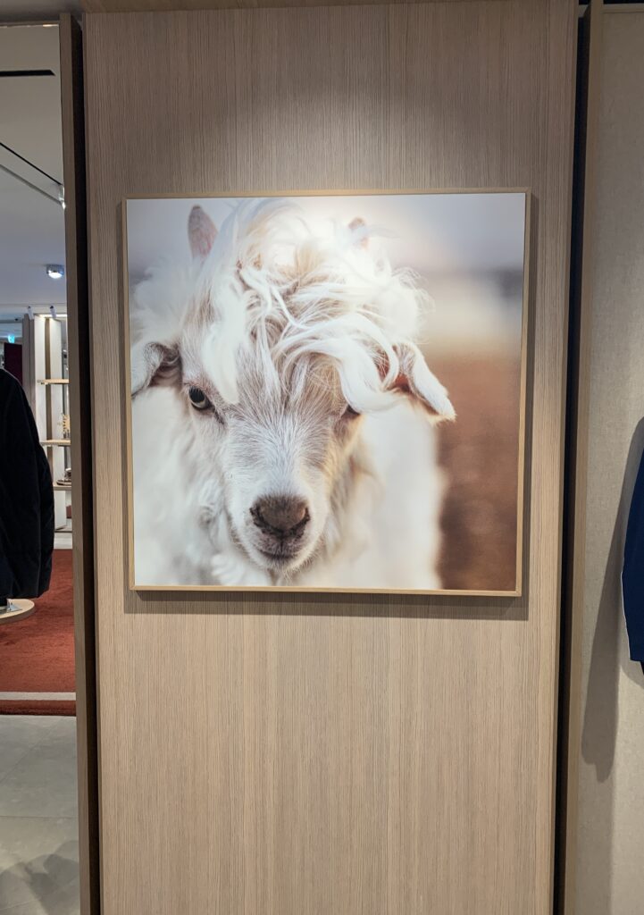 Kaschmir Shopping in München_Loro Piana Store Kaschmir Shopping in München_Loro Piana Store